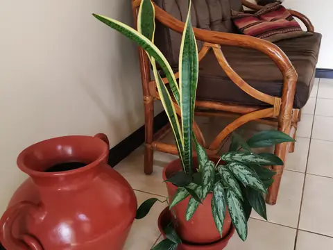 Interior detail — Main house, Rio Ángel Bio-reserve