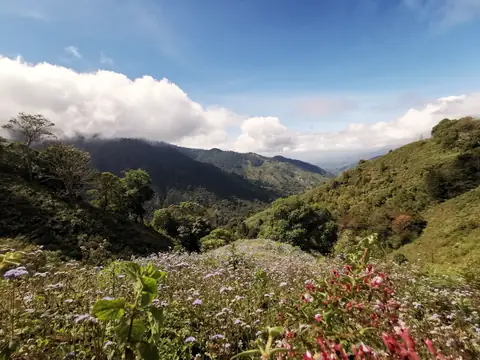 Chirripó National Park — Volcanoes and mountains, Rio Ángel Bio-reserve