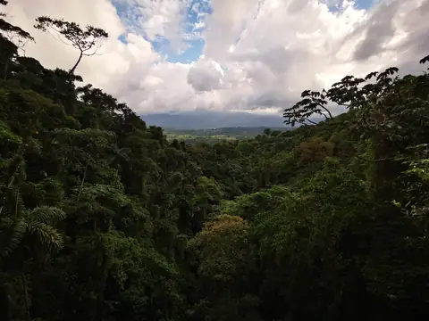 Rainforest under cloud — Volcanoes and mountains, Rio Ángel Bio-reserve