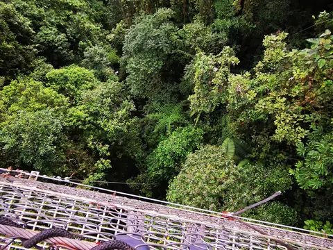 A suspension bridge above the canopy — Volcanoes and mountains, Rio Ángel Bio-reserve