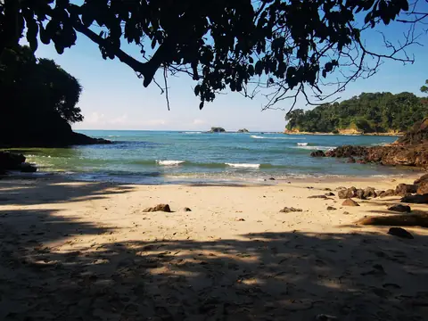 A beach fringed by jungle — Beaches and ocean, Rio Ángel Bio-reserve