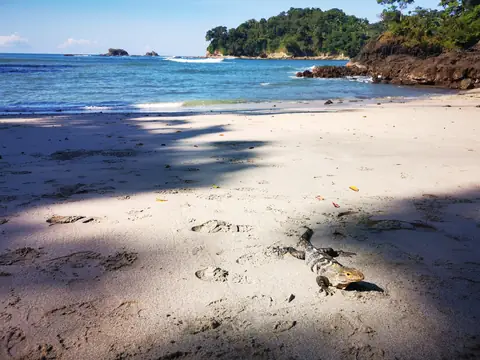 White sand and turquoise water — Beaches and ocean, Rio Ángel Bio-reserve