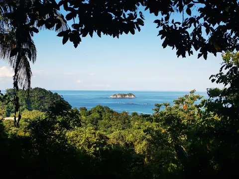 The sea through the palms — Beaches and ocean, Rio Ángel Bio-reserve