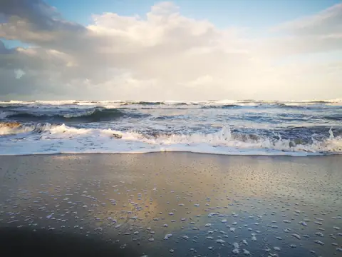 Surf — Beaches and ocean, Rio Ángel Bio-reserve