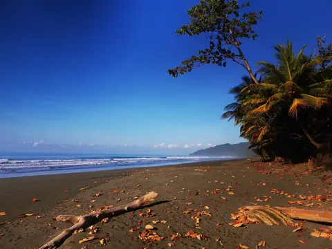 The beach in the morning — Beaches and ocean, Rio Ángel Bio-reserve