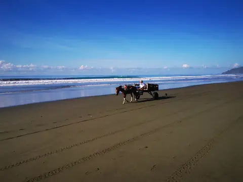 Horses on the beach — Beaches and ocean, Rio Ángel Bio-reserve