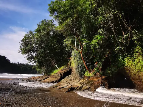 A rocky shore below the jungle — Beaches and ocean, Rio Ángel Bio-reserve