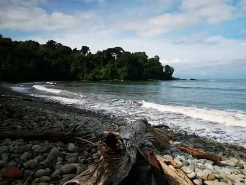 A pebble beach — Beaches and ocean, Rio Ángel Bio-reserve