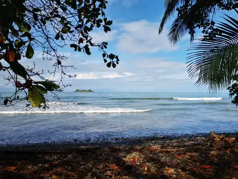 The sea through the branches — Beaches and ocean, Rio Ángel Bio-reserve