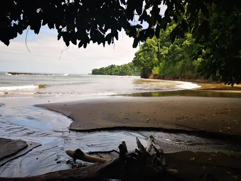 Driftwood at low tide — Beaches and ocean, Rio Ángel Bio-reserve