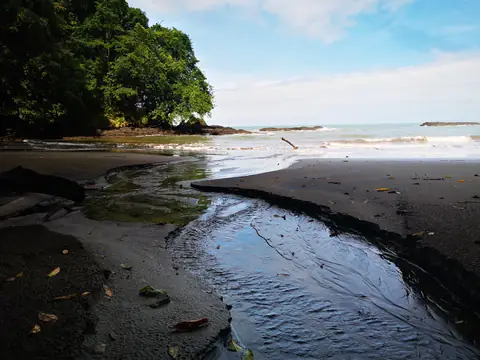 A stream reaching the sea — Beaches and ocean, Rio Ángel Bio-reserve
