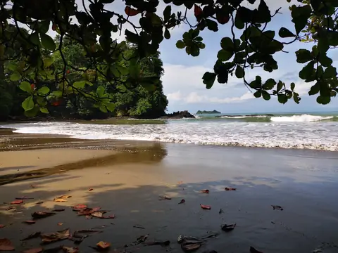 A quiet bay — Beaches and ocean, Rio Ángel Bio-reserve