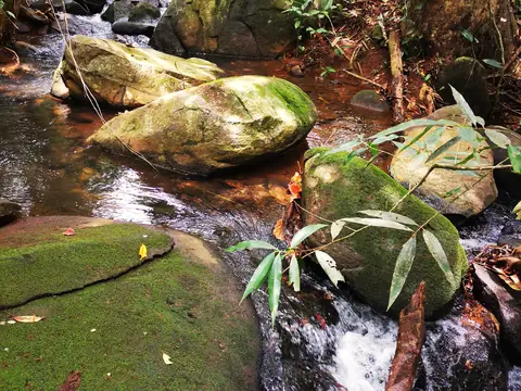 Boulders in the streambed — Stream, Rio Ángel Bio-reserve