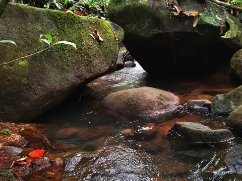 Water between the boulders — Stream, Rio Ángel Bio-reserve