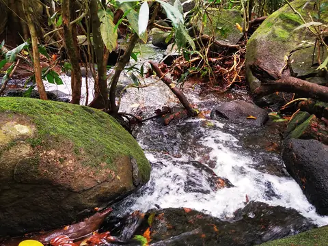 A cascade — Stream, Rio Ángel Bio-reserve