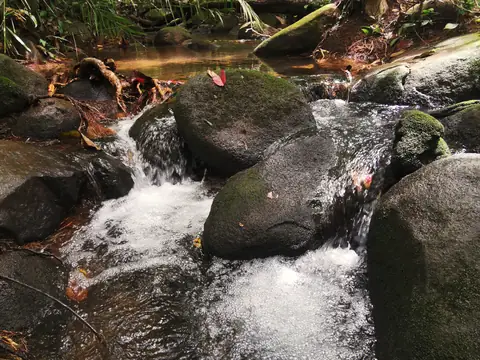 Boulders in the current — Stream, Rio Ángel Bio-reserve