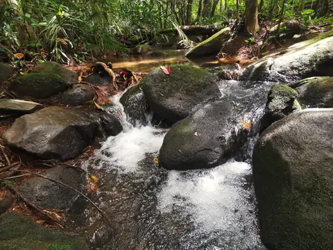 A pebble bed — Stream, Rio Ángel Bio-reserve