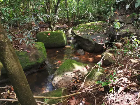 A pool in the forest — Stream, Rio Ángel Bio-reserve