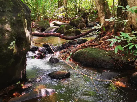 Stones in the shallow current — Stream, Rio Ángel Bio-reserve