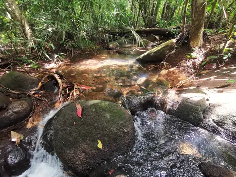 A cascade between boulders — Stream, Rio Ángel Bio-reserve
