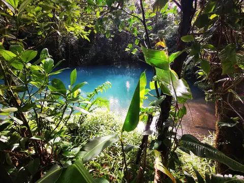 A pool in the rainforest — Waterfalls and rivers, Rio Ángel Bio-reserve