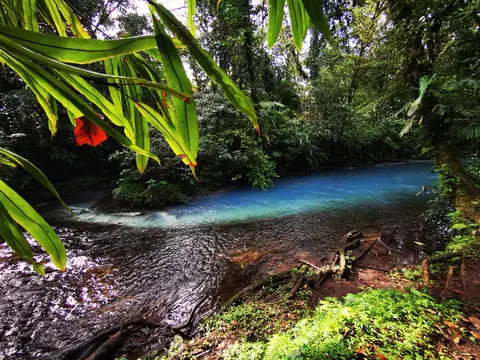 The river beneath the trees — Waterfalls and rivers, Rio Ángel Bio-reserve