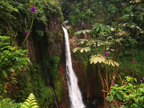 A waterfall in the canyon — Waterfalls and rivers, Rio Ángel Bio-reserve