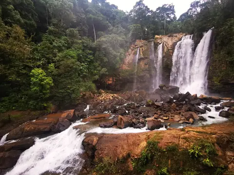 Nauyaca close up — Waterfalls and rivers, Rio Ángel Bio-reserve