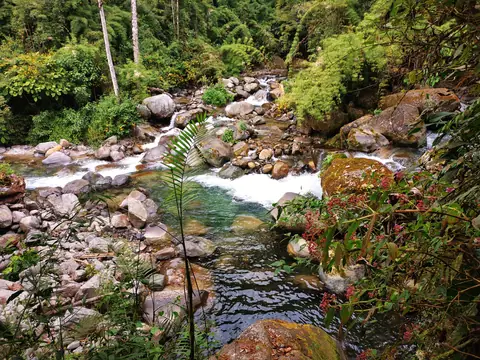 A mountain torrent — Waterfalls and rivers, Rio Ángel Bio-reserve