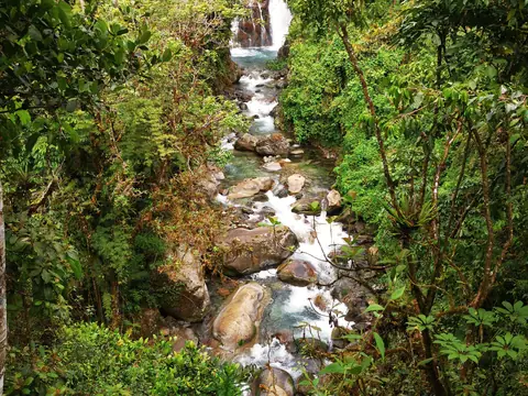 A waterfall in the mountain forest — Waterfalls and rivers, Rio Ángel Bio-reserve
