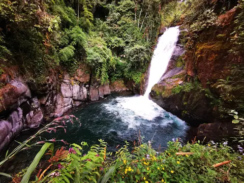 A waterfall into a pool — Waterfalls and rivers, Rio Ángel Bio-reserve