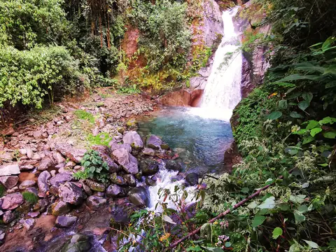 A cascade in the rainforest — Waterfalls and rivers, Rio Ángel Bio-reserve