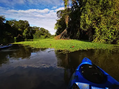 Morning on the river — Waterfalls and rivers, Rio Ángel Bio-reserve