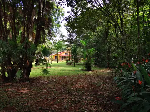 The garden with the house behind — Garden, Rio Ángel Bio-reserve