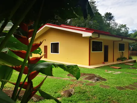 Heliconias in front of the house — Garden, Rio Ángel Bio-reserve