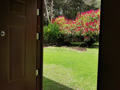 A view from the door into the garden — Garden, Rio Ángel Bio-reserve