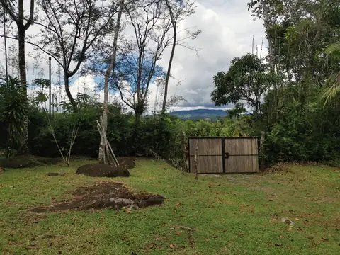 The lawn by the entrance — Garden, Rio Ángel Bio-reserve