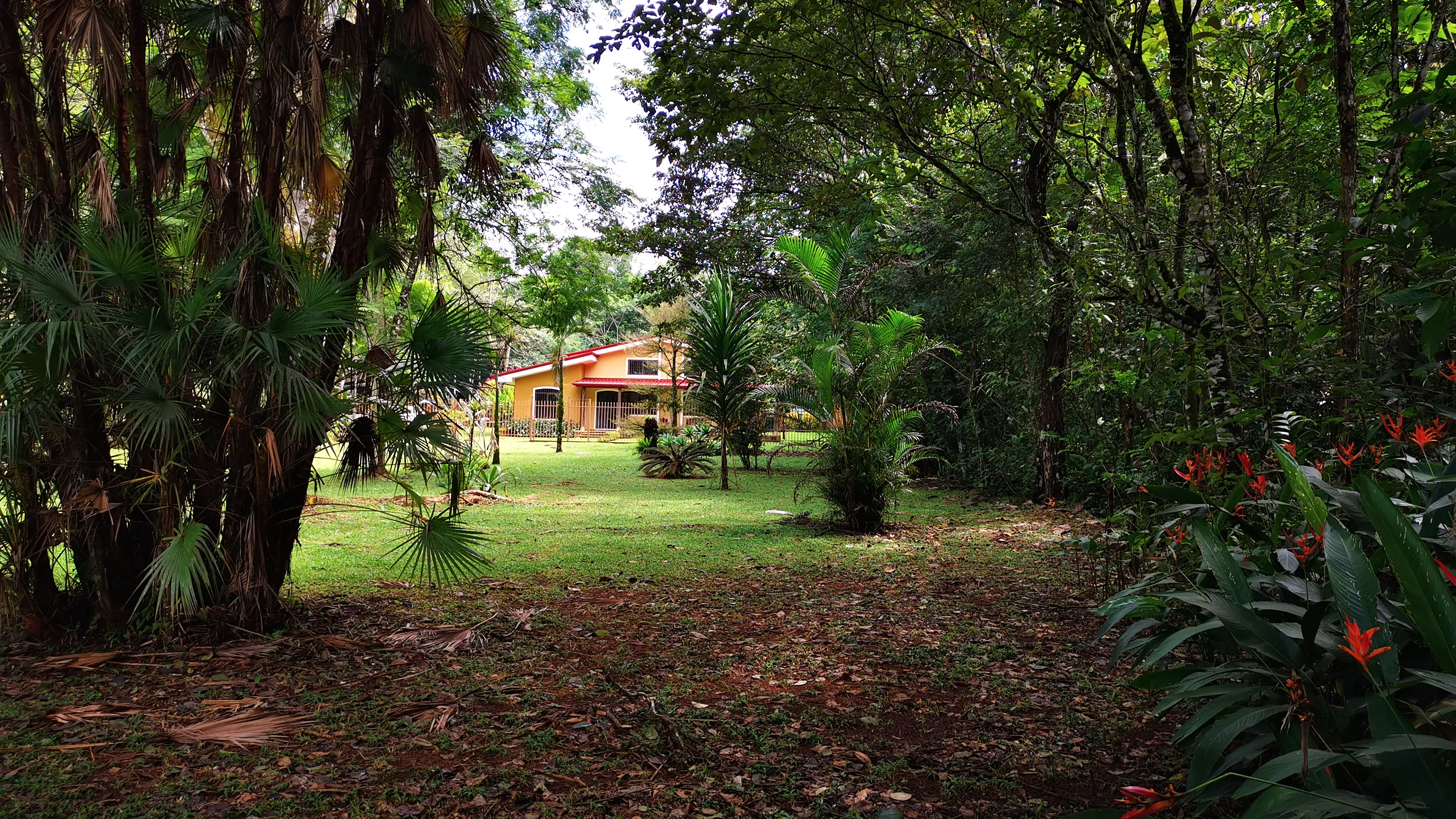 The botanical garden of the Rio Ángel Bio-reserve with the main house in the background