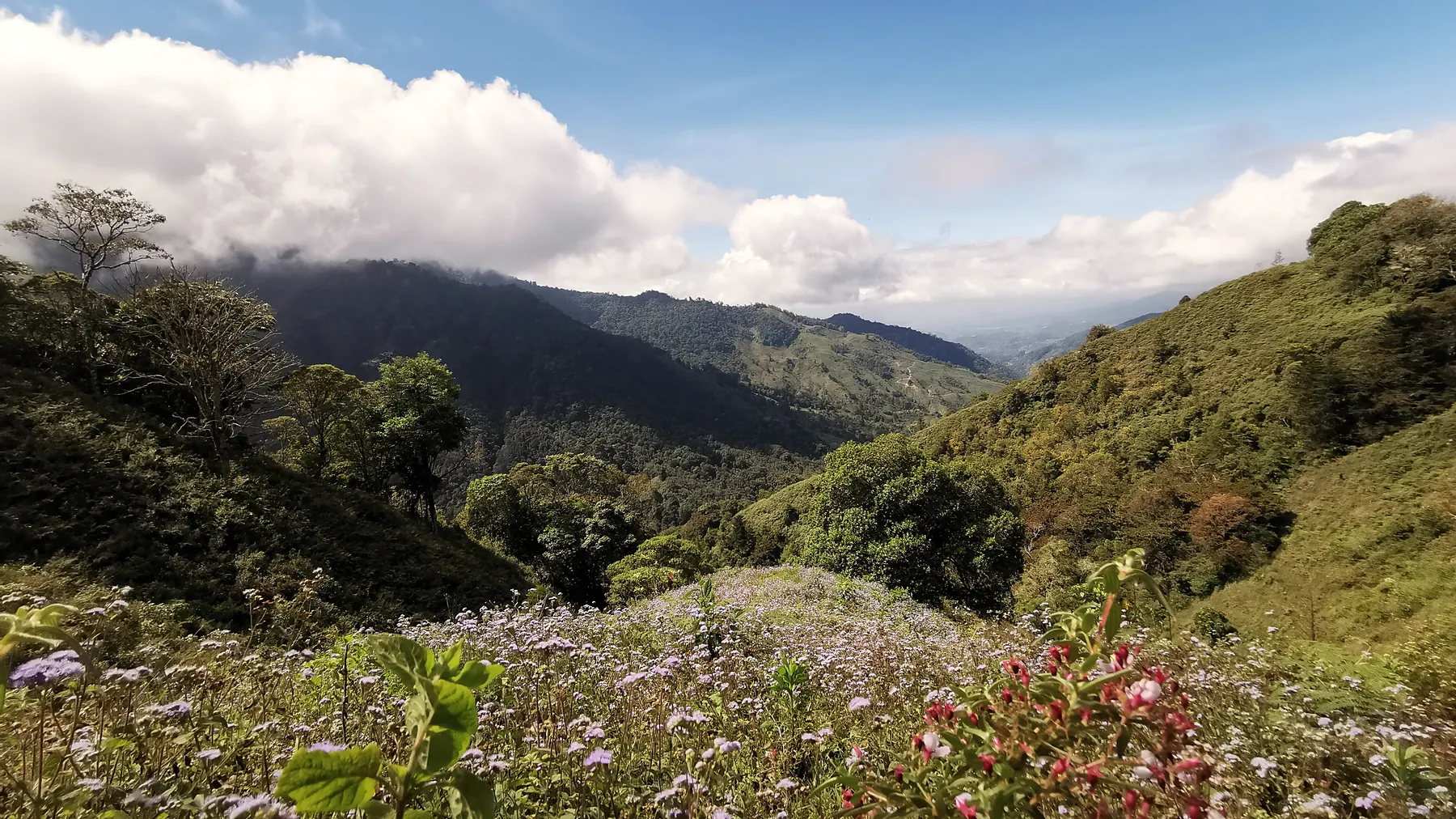 The rolling landscape of Chirripó National Park