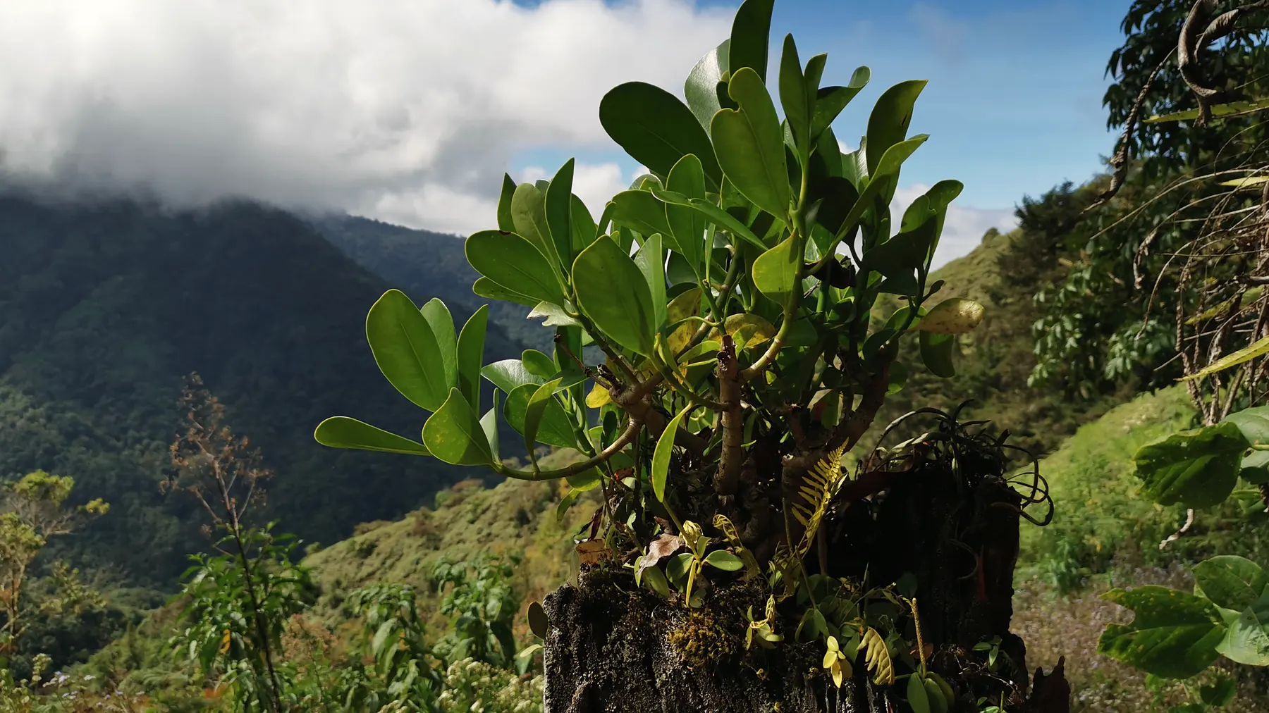A view of the Cordillera de Talamanca