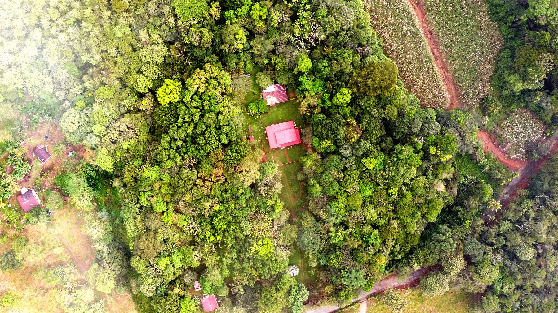 Aerial view of the property — both buildings amid mature greenery