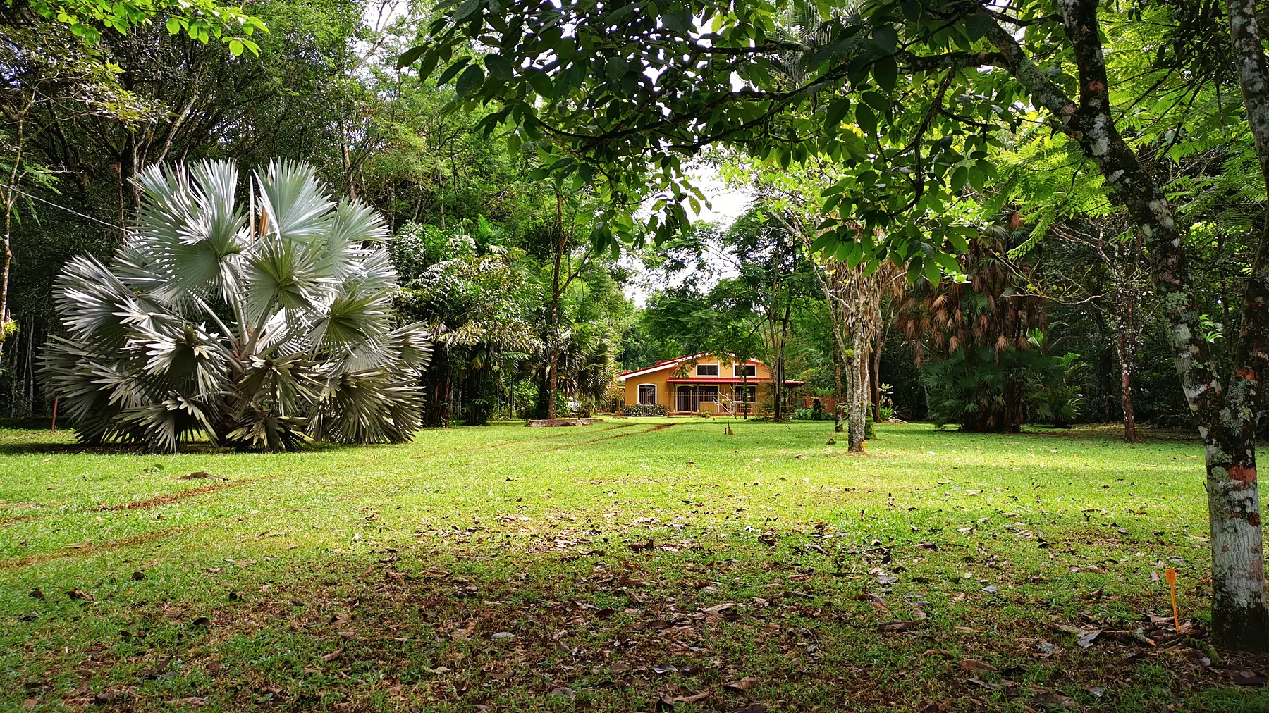 The project's extensive garden with the house in the background