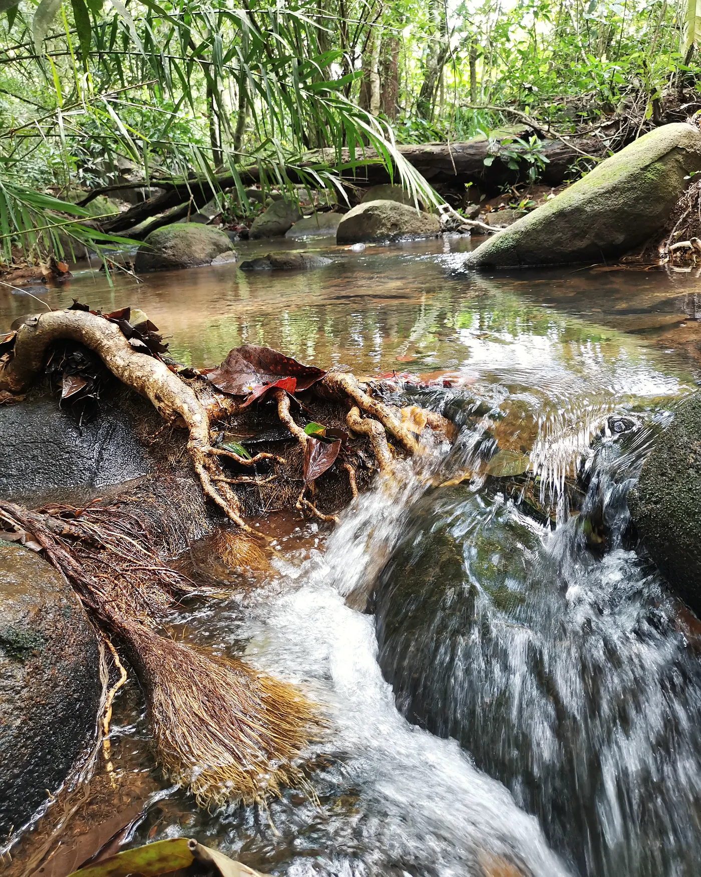 A cascade in the stream running through the project's land